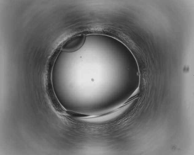 X0000090980728200708091457