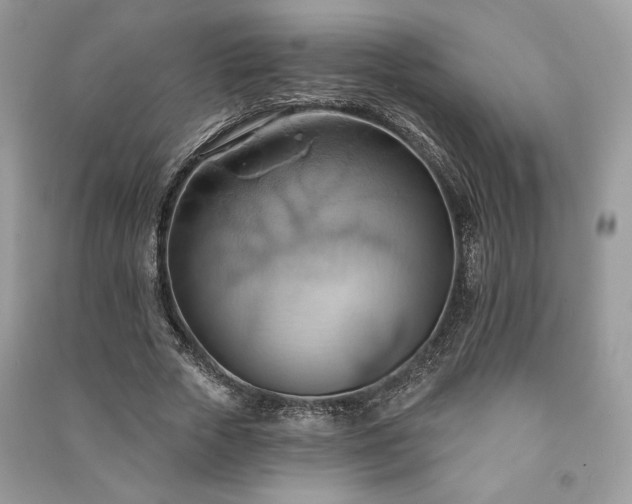 X0000090980729200708091457