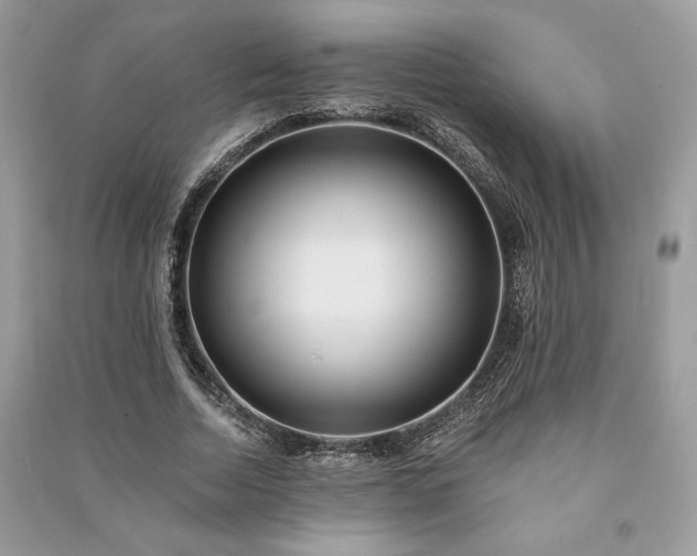 X0000090980730200708091457
