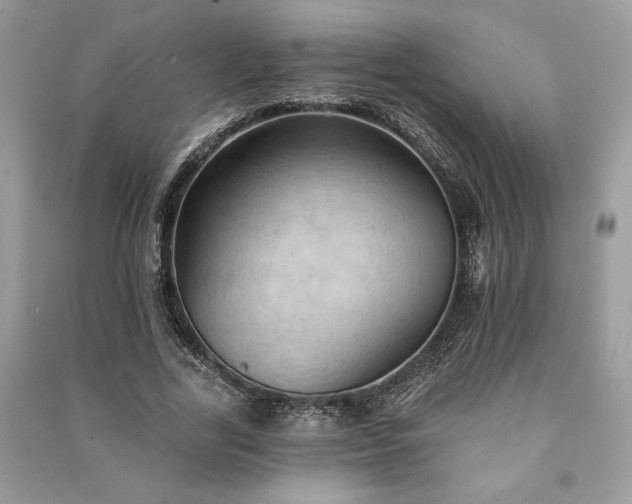 X0000090980731200708091457