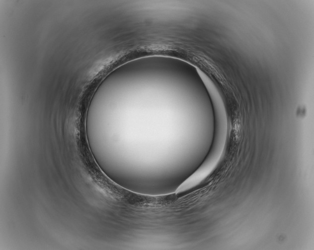 X0000090980732200708091457
