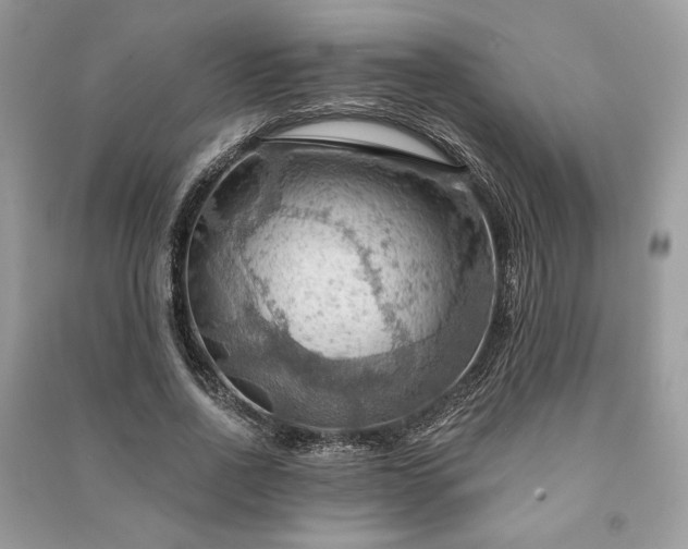 X0000090980734200708091457