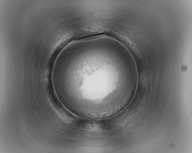 X0000090980735200708091457