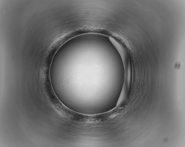 X0000090980736200708091457