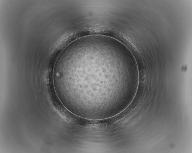 X0000090980738200708091457
