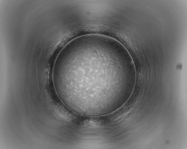 X0000090980739200708091457