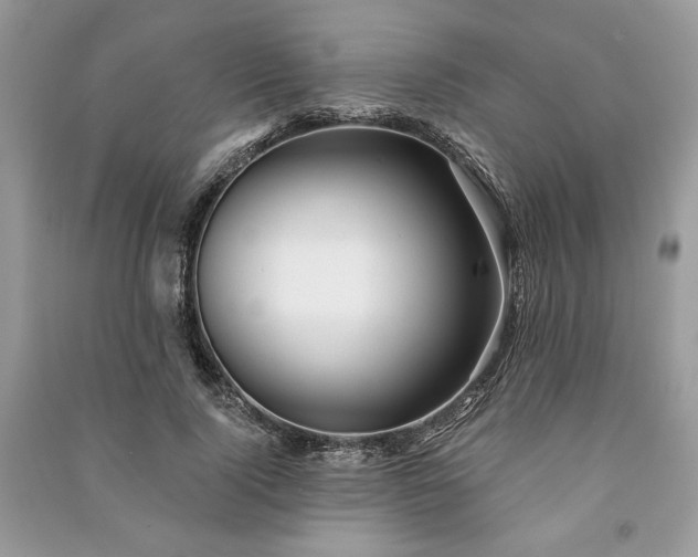 X0000090980740200708091457