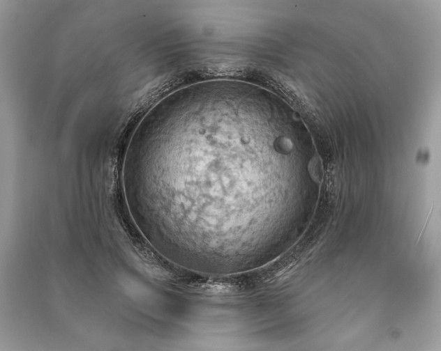 X0000090980741200708091457
