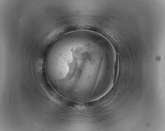 X0000090980742200708091457