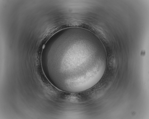 X0000090980743200708091457