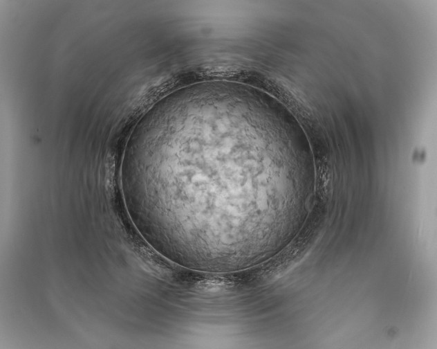 X0000090980745200708091457