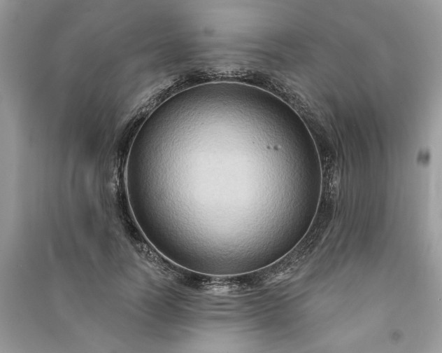 X0000090980746200708091457