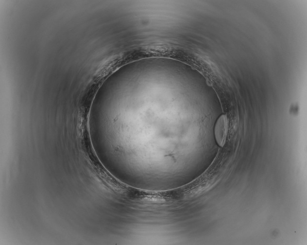 X0000090980749200708091457