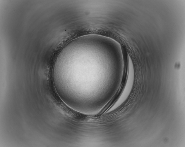 X0000090980750200708091457