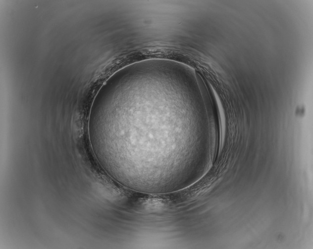 X0000090980751200708091457