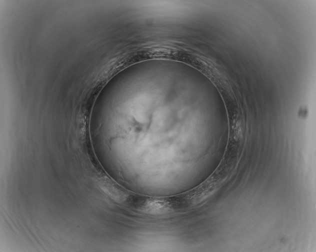 X0000090980753200708091457