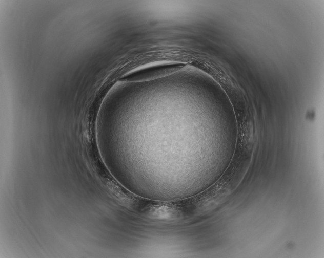 X0000090980755200708091457
