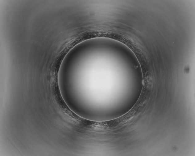 X0000090980756200708091457
