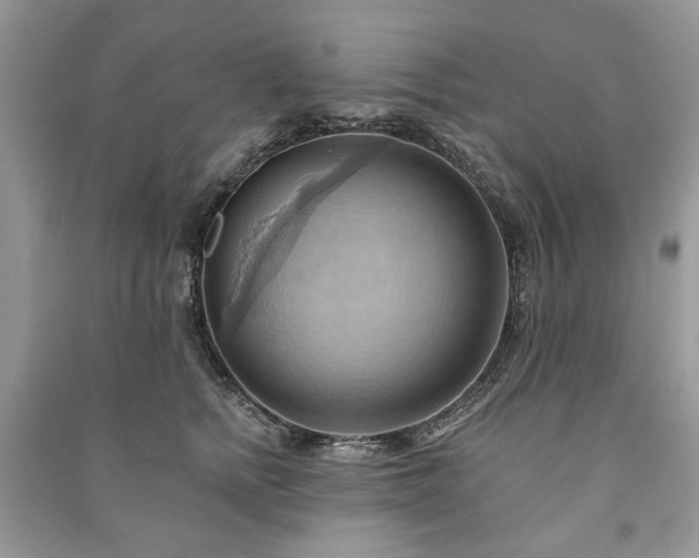 X0000090980758200708091457