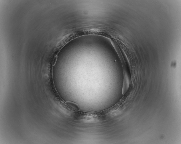 X0000090980760200708091457