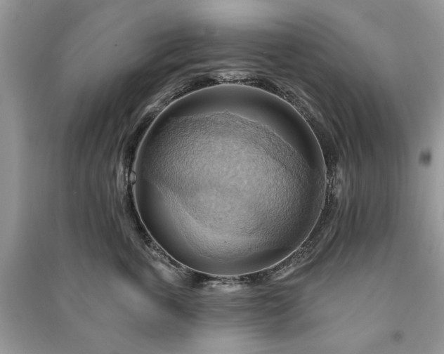 X0000090980763200708091457