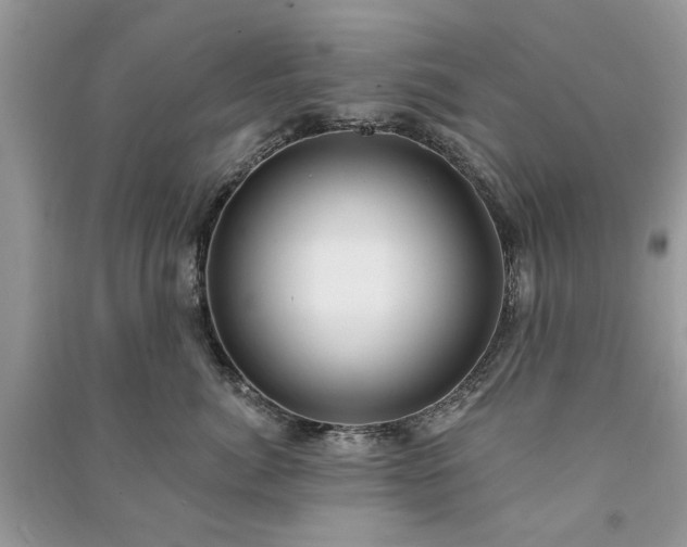 X0000090980764200708091457