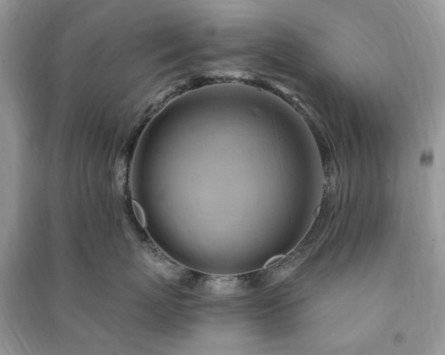 X0000090980767200708091457
