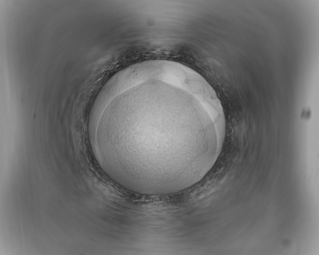 X0000090980769200708091457