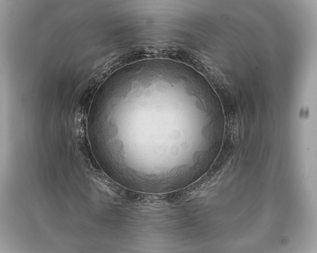X0000090980770200708091457