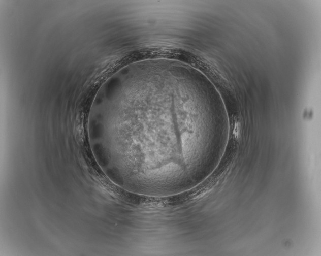 X0000090980771200708091457