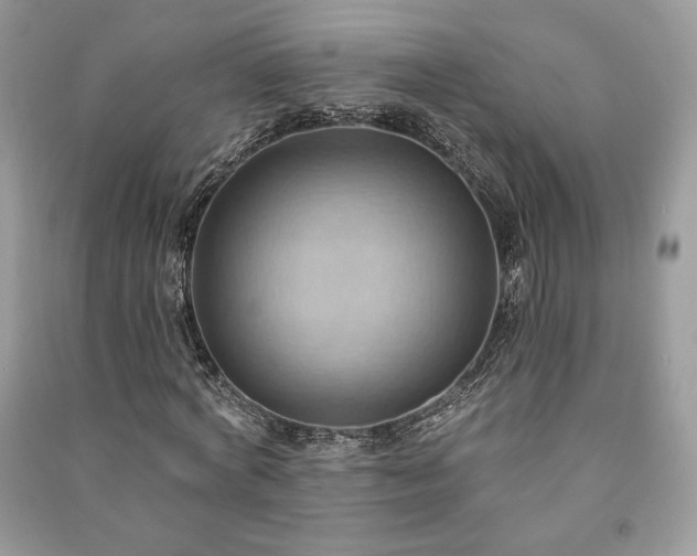 X0000090980772200708091457