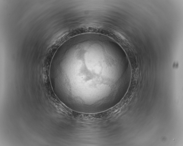 X0000090980774200708091457
