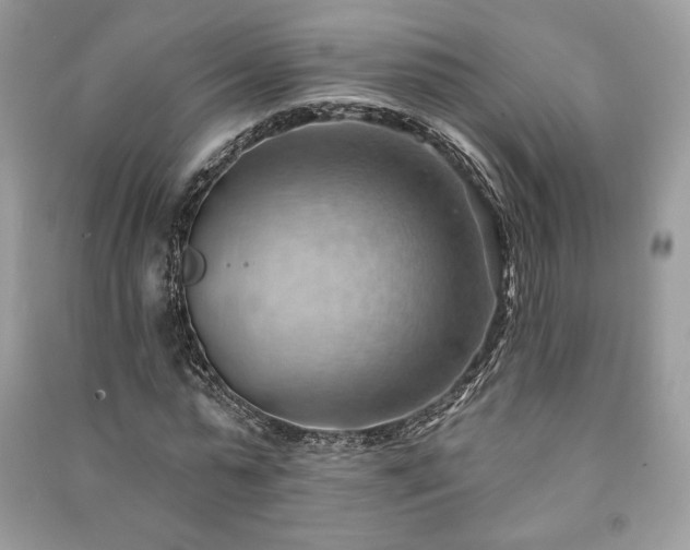 X0000090980775200708091457