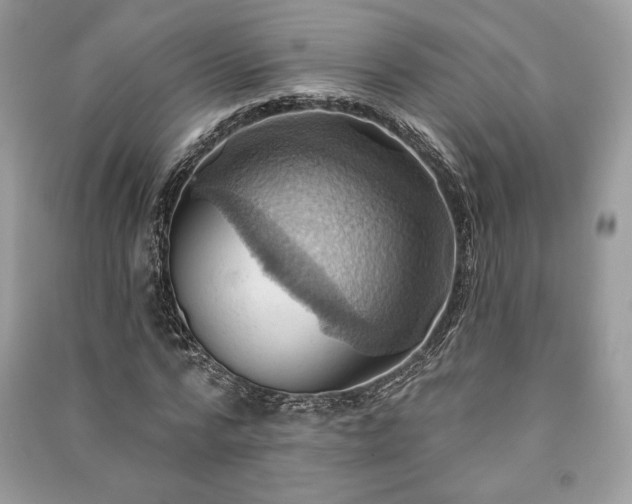 X0000090980776200708091457