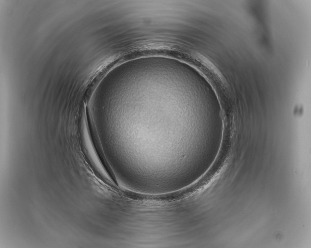 X0000090980777200708091457