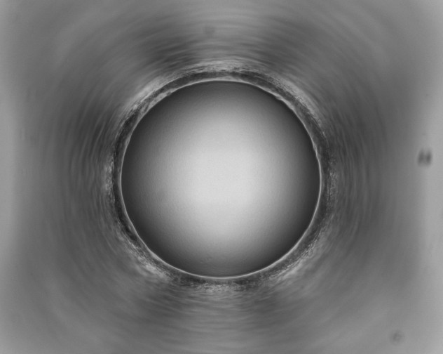 X0000090980778200708091457