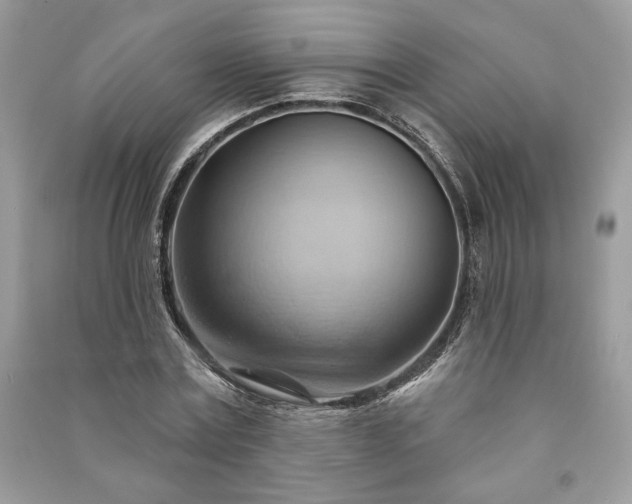X0000090980779200708091457