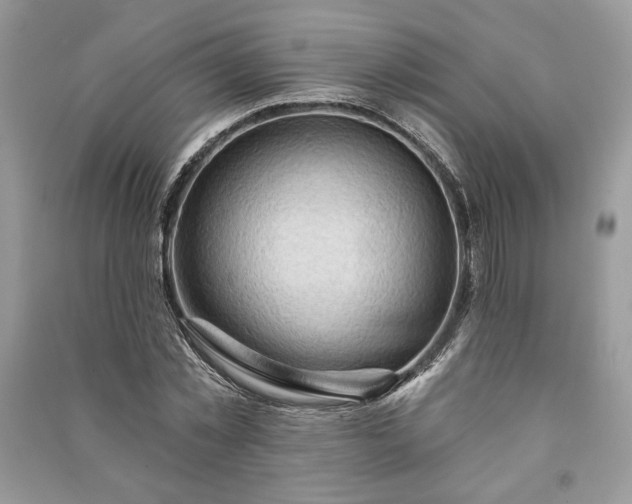 X0000090980781200708091457