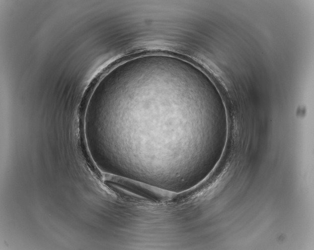 X0000090980782200708091457