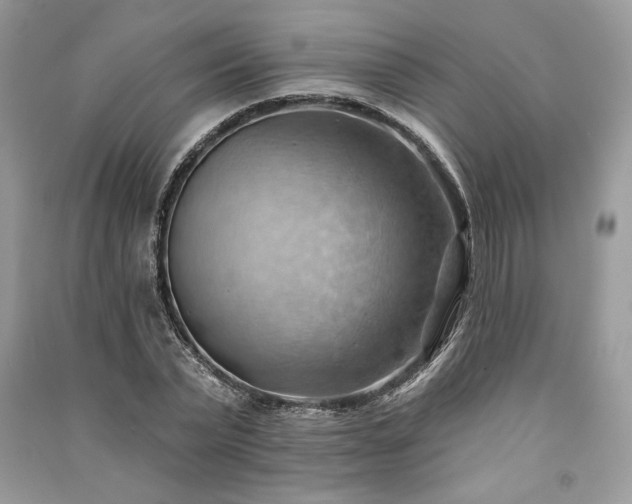 X0000090980783200708091457