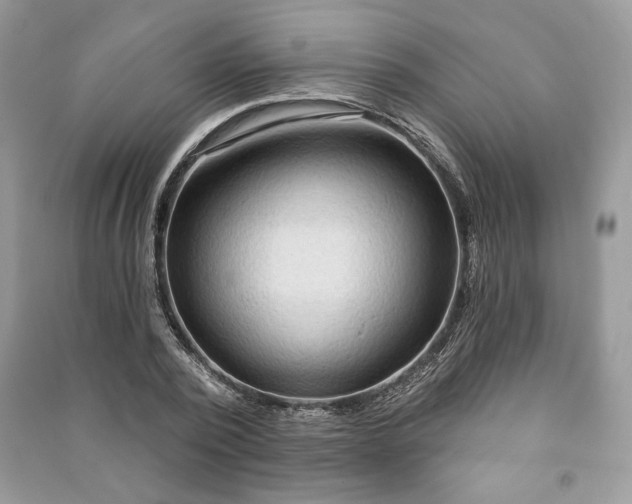 X0000090980784200708091457