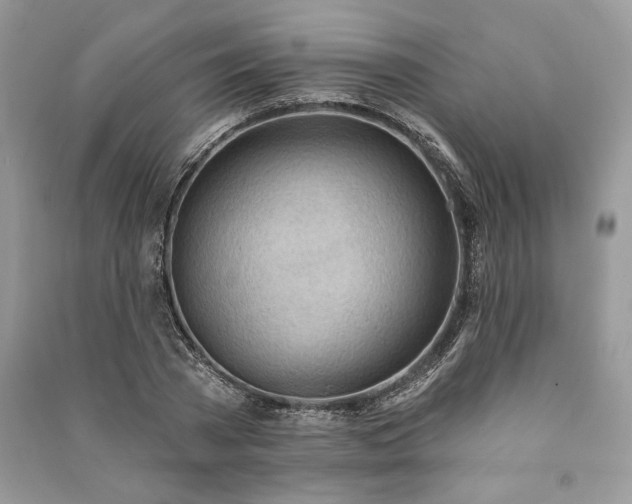 X0000090980785200708091457