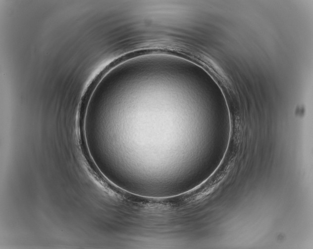 X0000090980788200708091456