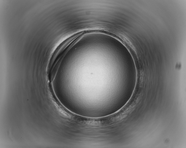 X0000090980789200708091456
