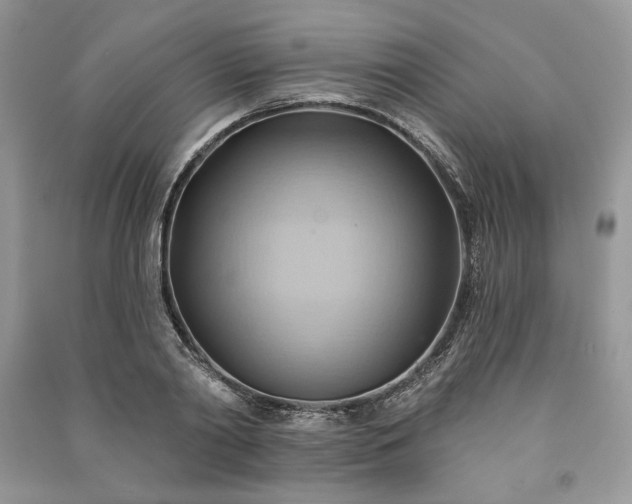 X0000090980790200708091456