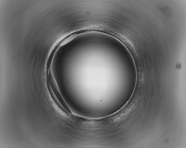 X0000090980792200708091456