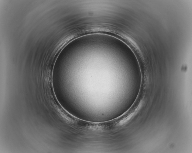 X0000090980793200708091456