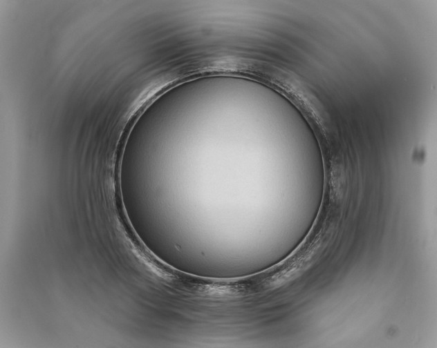 X0000090980794200708091456