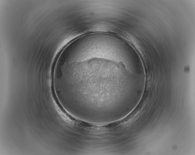 X0000090980795200708091456