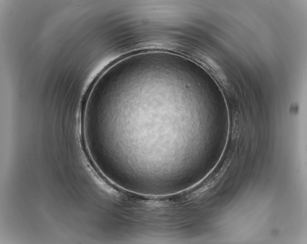 X0000090980796200708091456